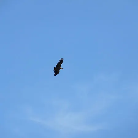 酒店 Al Vent - Adults Only 3*