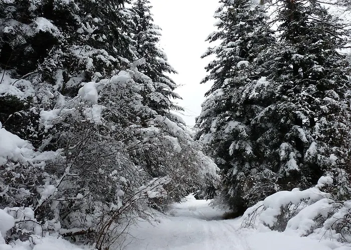 Al Vent - Adults Only 3* Aínsa