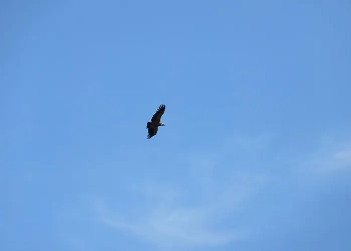 Hotel Al Vent - Adults Only 3*